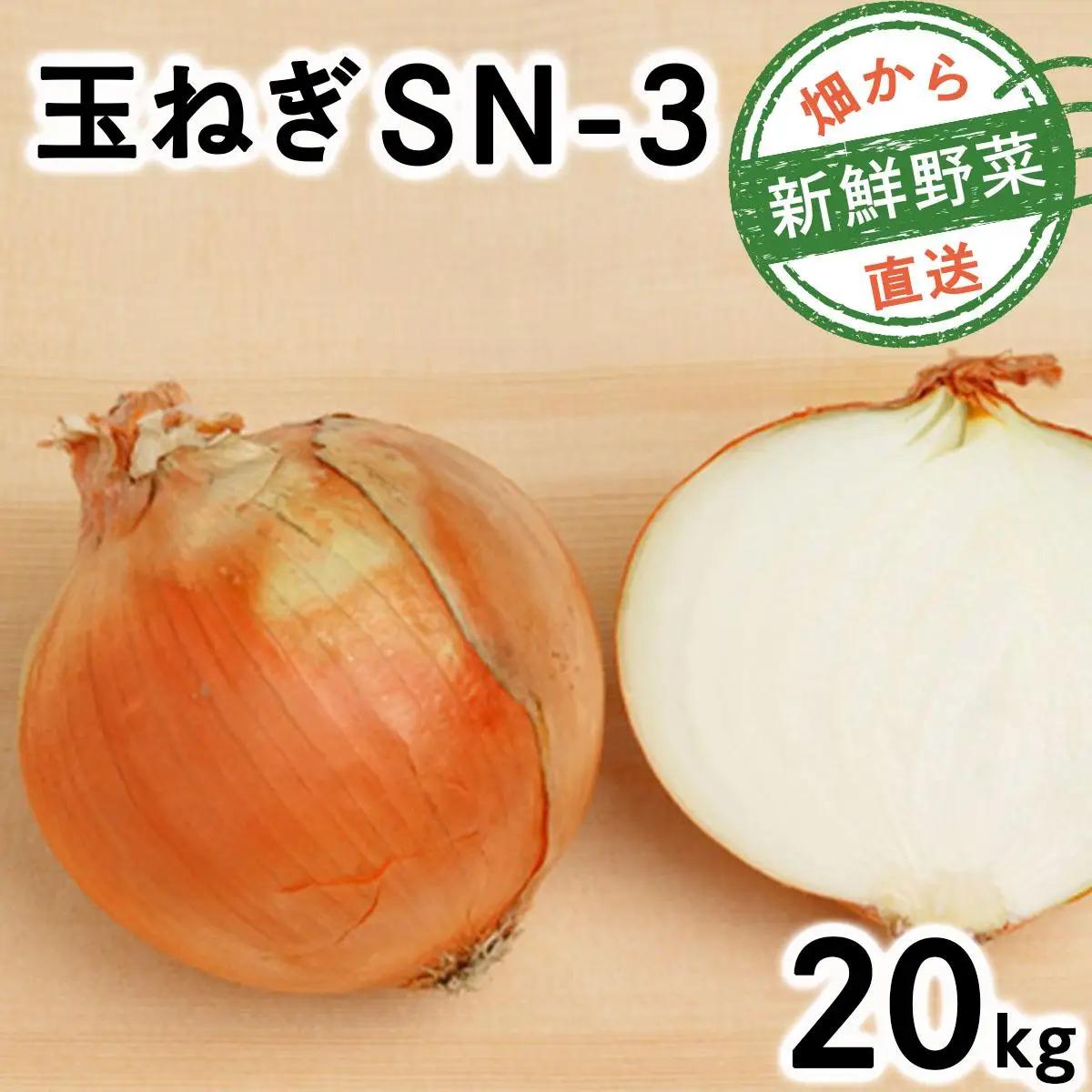 【先行予約】畑から 直送 の 新鮮野菜!玉ねぎ(SN-3) 20kg [a168-003] たまねぎ 玉葱 タマネギ国産 産地直送 まとめ買い 業務用 贈り物 甘い 野菜 シャキシャキ 美味しい 北海道 送料無料