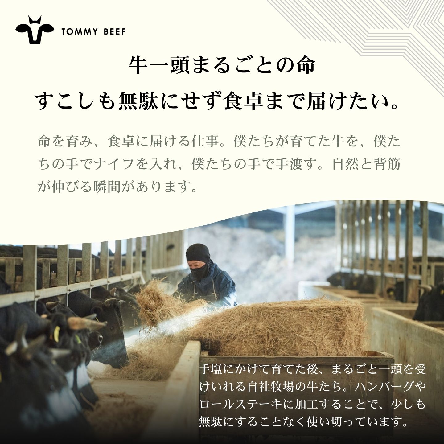【佐賀牛定期便】ミルフィーユロールステーキ12個　全12回：C232-028_イメージ4