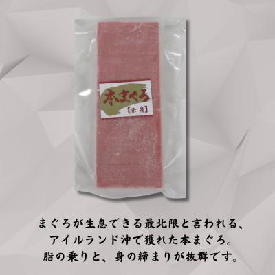 ふるさと納税 三浦市 神奈川県漁連　天然本マグロ　赤身サク |  | 01