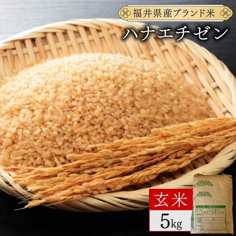 福井県産 ハナエチゼン 玄米 5kg（5kg×1）＜令和7年産 数量限定 ＞【米 コメ お米 精米 白米 無洗米 玄米 ご飯 飯 華越前 ブランド米 国産】[095-a012_B]【敦賀市ふるさと納税】