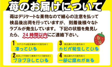 【先行予約】R9年1月下旬頃出荷開始 佐賀県産 いちごさん （ 240g×4P ）有明・潮風ファーム 直送品 果物 くだもの フルーツ イチゴ  B150-032