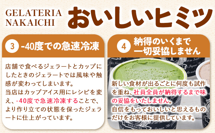 ジェラート 6種 6個 バラエティーセット 《30日以内に出荷予定(土日祝除く)》岩手県 九戸村 アイス イスクリーム スイーツ カフェオレ レアチーズ ラムレーズン ミルク はちみつ 極み抹茶 詰め