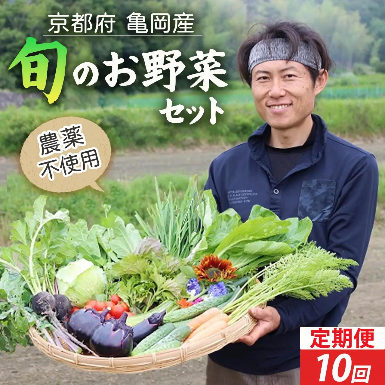 【10回定期便】お野菜セット かたもとオーガニックファーム 野菜