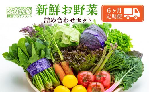 
【６ヶ月連続毎月届く定期便】「鎌倉いちばブランド」新鮮お野菜詰め合わせセット
