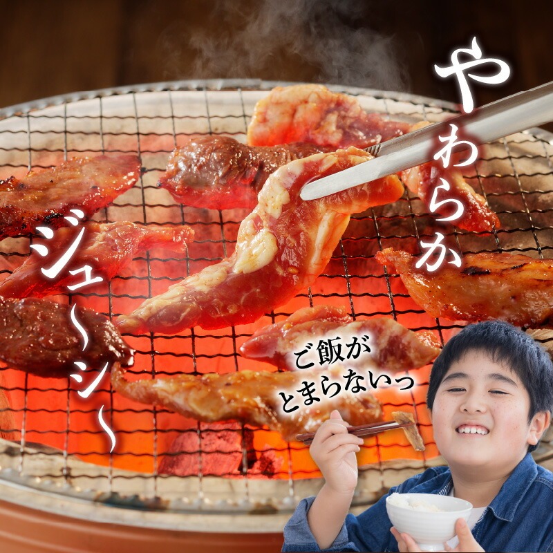 【宮崎産】豚ハラミ・サガリ タレ漬け 2kg(500g×4) N061-YB440