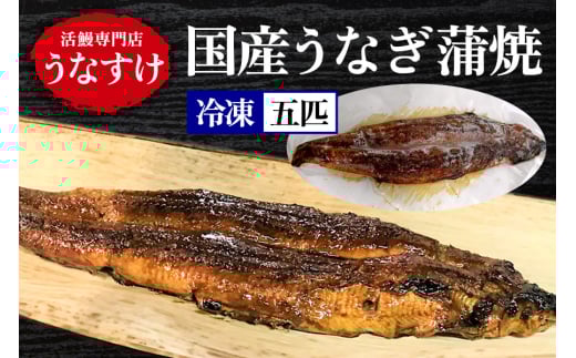 [冷凍] 国産うなぎ蒲焼 (5匹) [0924]