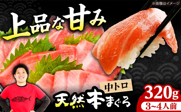 
            極上！たね熟天然本まぐろ中トロ(320g) 天然 マグロ 鮪 中トロ 刺身 魚 魚介 魚介類 海鮮丼 本マグロ 本まぐろ 本鮪 中とろ 中トロ 冷凍 お刺身 お寿司 大阪府高槻市/本まぐろ直売所 [AOCE009]
          
