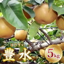 【ふるさと納税】[先行予約] 印西の梨 豊水｜梨 ナシ フルーツ 果物 スイーツ [0426]