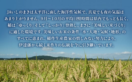 【定期便2回・毎月発送】宮城県いしのまき産米 5kg×2回 サ