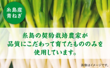 糸島青ねぎゆず胡椒110g×5本セット《糸島》【山口食品工業株式会社】[ABI001] ねぎ ネギ 葱 柚子胡椒 ゆず胡椒 柚子 こしょう チューブ 調味料