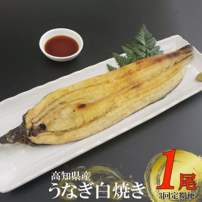 ふるさと納税 室戸市 ヤマジュウ厳選!国産うなぎ白焼き1尾【3回定期便】