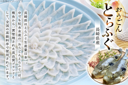 ふぐ 刺身 おうごんとらふぐ 大皿 刺身 80g [松永水産 長崎県 平戸市 hr42bgy400119]