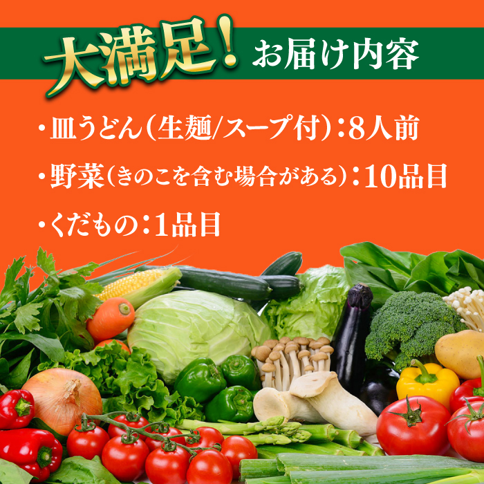 長崎皿うどん 8人前 野菜 10品目 果物 1品目 セット  / 皿うどん かた焼きそば / 南島原市 / 贅沢宝庫 [SDZ002]_イメージ2