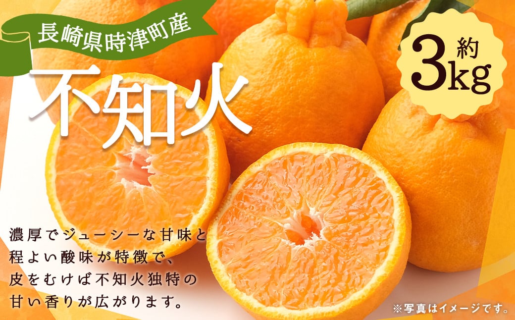 
            【数量限定】長崎県 時津町産 不知火 約3kg 柑橘 果物【2026年3月下旬-4月下旬迄発送予定】
          