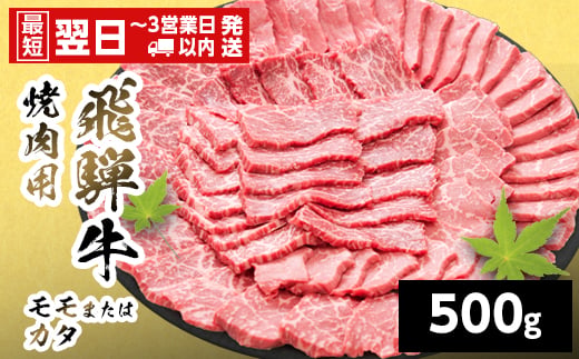 
                  【発送時期が選べる】 飛騨牛 モモまたはカタ 焼肉用 赤身 500g 岐阜県産 詰め合わせ 黒毛和牛 もも かた 赤身 牛肉 牛 国産 お取り寄せ 自宅用 和牛 最短発送 養老ミート
                