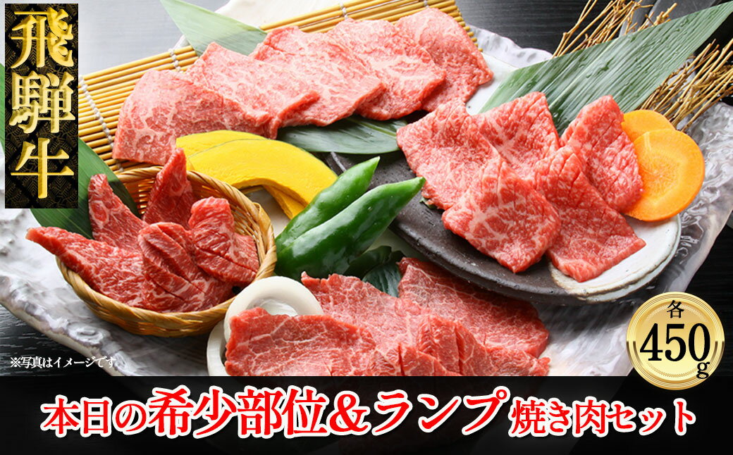 【ふるさと納税】 飛騨牛本日の希少部位・ランプ焼肉セット各450g 【冷凍】　冷凍配送　希少部位450g 飛騨牛ランプ450g 900g 飛騨牛 下呂温泉 おすすめ 牛肉 ブランド牛 肉ギフト 国産 贈答品 焼肉用 焼肉 焼肉セット 焼き肉 ギフト 希少部位 ランプ 2種 49000円