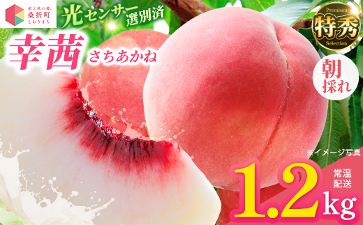 
                  もも【幸茜・2027年産先行予約】特秀1.2kg　桑折町産　JAふくしま未来　桃 ／ もも モモ 果物 フルーツ 旬 甘い 甘み ジューシー 果肉 果汁 新鮮 フレッシュ デザート おいしい 産地直送 桑折 こおり こおりまち 福島県 特産品 献上桃の郷 【07301-0228】
                