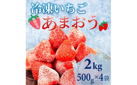 【福岡スイーツ自然の贈り物】かわいい化粧箱入り！福岡県産冷凍あまおう合計2kg(500g×4袋)【イチゴ いちご 苺 あまおう 果物 くだもの 博多名物 冷凍 スイーツ 贈答用 ギフト プレゼント 食品 人気 おすすめ 福岡県 大任町 BC016】
