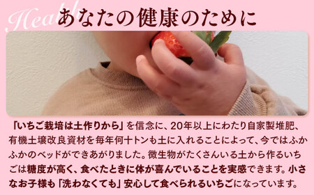 栃木県産 こだわり とちあいか【300g以上×2パック】| 家庭用 完熟 朝摘み 苺 いちご イチゴ とちあいか 果物 フルーツ 秀品 贈答 栃木県 壬生町 産地直送 ※2025年12月中旬頃より順次