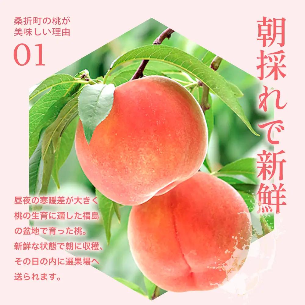 もも【さくら白桃・2026年産】特秀　3kg　桑折町産　JAふくしま未来　桃　献上桃の郷　【07301-0171】