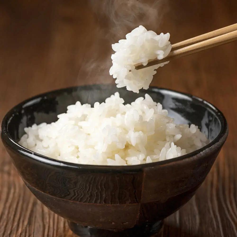 【 先行予約 /10月以降配送】 【令和7年産】福井県産 こしひかり 白米10kg / 小浜市 / Grow Farm [BFDI002] 