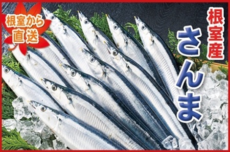 【北海道根室産】冷凍生サンマ20尾（真空パック5尾入×4P） A-71050