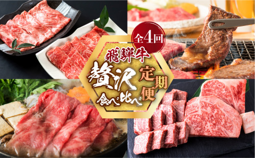 飛騨牛 定期便 全4回 毎月 お届け 焼肉 4種 600g すき焼き しゃぶしゃぶ 赤身 霜降り 食べ比べ 500g ステーキ 600g 肩ロース 500g ｜ 飛騨牛 定期便 牛肉 定期便 定期便 牛肉 牛肉 定期便 4回 飛騨牛 定期便 和牛 国産牛 飛騨牛 牛肉 飛騨牛 焼肉 定期便 牛肉 すき焼き ステーキ肉 食べ比べ セット 世界遺産 白川郷 [S091_re]