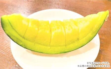 『まるで果物の王様！贅沢メロン』 2玉セット  1箱 熊本県産  【2026年1月下旬発送開始】フルーツ くだもの 果物 メロン 果実 果肉 おやつ 国産