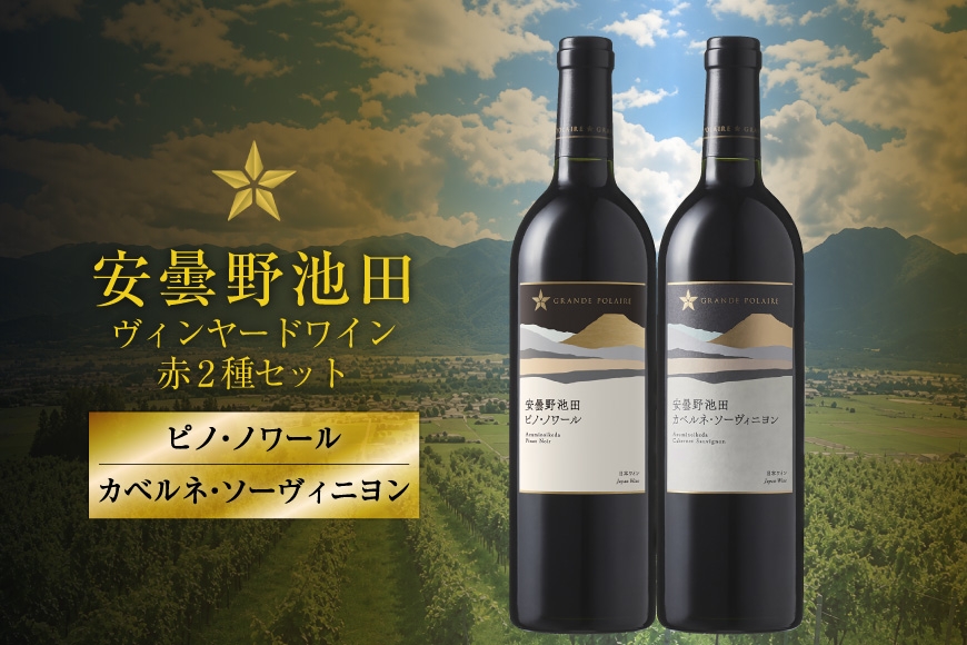 
                  赤ワイン セット サッポログランポレール 安曇野池田ヴィンヤードワイン 赤2種セット 750ml 計2本  [ナチュラルマルシェ ソヨソヨ 長野県 池田町 48110928] 酒 お酒 アルコール 赤 赤ワイン 国産 あるこーる ぶどう 特別 フルボディ ミディアムボディ 料理 セット
                