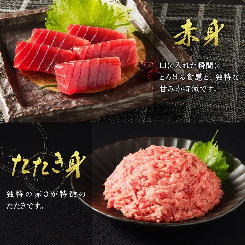 【定期便10回】南鮪 1本 総重量約29kg（各月約2.9kg） (m10-001)