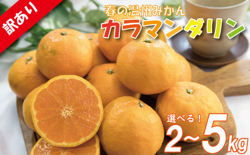 
訳あり カラマンダリン 春みかん 2S-3L 約2kgまたは約5kg ( 訳あり みかん 訳あり柑橘 訳あり商品 カラマンダリン みかん 柑橘 松山 愛媛県 )
