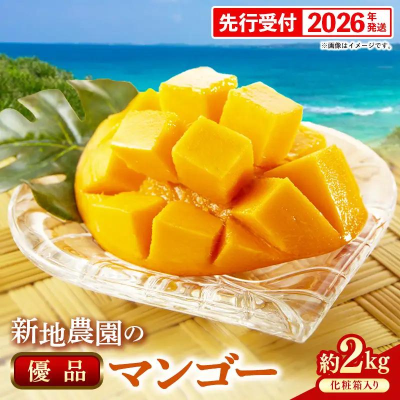 【化粧箱入り】【先行受付・2026年発送】新地農園 アップルマンゴー 優品 約2kg （4～6玉）- 産地直送 先行予約 沖縄県産 贈り物 ギフト 南国フルーツ 旬の味覚 オススメ 沖縄県 八重瀬町