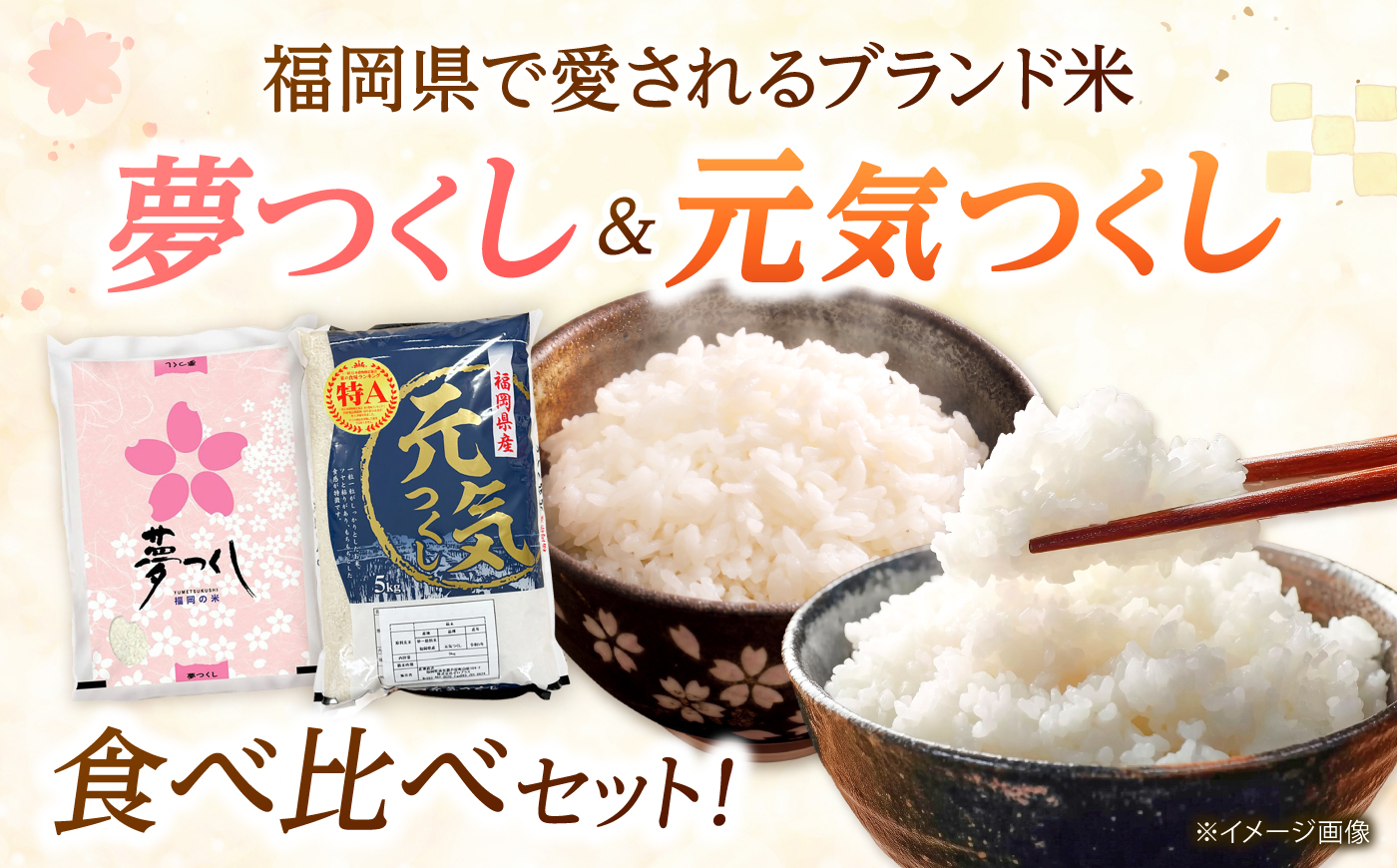 【令和7年産】福岡県産米食べ比べ【無洗米】夢つくしと元気つくしセット 計10kg 吉富町/株式会社ゼロプラス [BGAA097] 米 食べ比べ