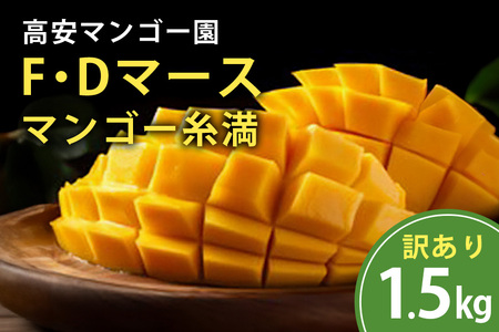 【2026年発送】高安マンゴー園 訳あり F・Dマースマンゴー 糸満 1.5kg 3～6玉 マンゴー 家庭用 アップルマンゴー アーウィンマンゴー 国産 完熟マンゴー 果物 南国 くだもの フルーツ 完熟 夏 旬 特産品 沖縄 お取り寄せ お土産 甘い 濃厚 糸満市 96-3