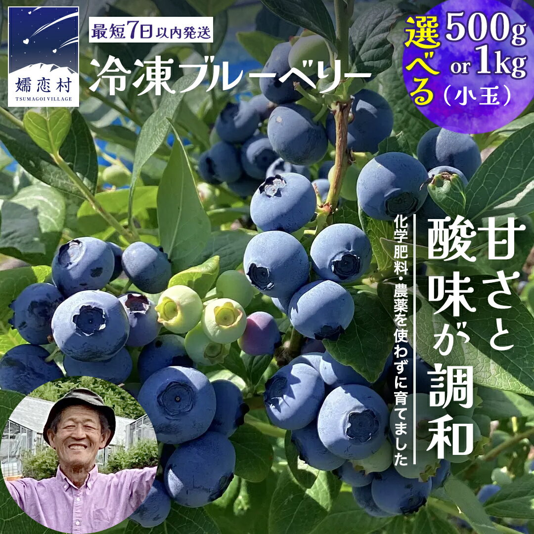 【ふるさと納税】 【 最短 7日以内 発送 】 冷凍 ブルーベリー 小玉 1kg or 500g 選べる内容量 【 栽培期間中 化学肥料 農薬 不使用 】 数量限定 中粒 国産 フルーツ スムージー 果物 くだもの 農家直送 スイーツ アイス ノーザンハイブッシュ系 ミックス