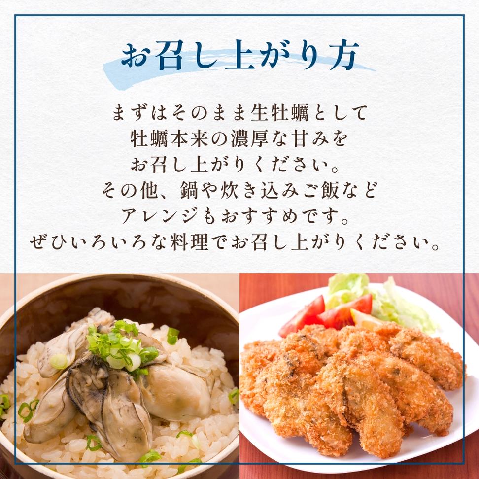 【宮城県産 生食用牡蠣】 一年子生カキ むき身 500g かき カキ 剥き身 生牡蠣 プリプリ 濃厚