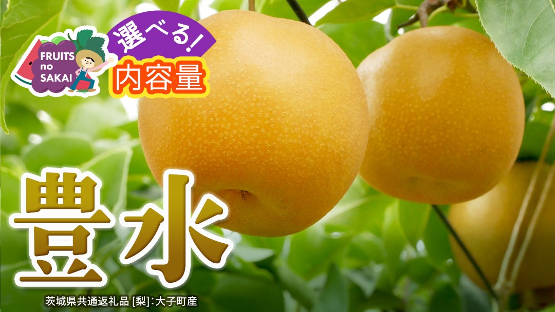 
                  ＼ 選べる内容量 ／ 豊水 梨 約3kg / 約5kg / 約10kg 【2026年9月より発送開始】（茨城県共通返礼品 [梨]：大子町産） なし 旬 お取り寄せ フルーツ 甘い ジューシー 和梨 時期
                