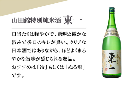 【The SAGA認定酒】山田錦特別純米酒「東一」 720ml×1本 【白木酒店】日本酒 四合瓶 佐賀 山田錦[HAQ042]