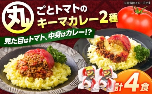 赤いとまて箱（丸ごとトマトのキーマカレー２食／チーズinキーマカレー２食）　【buyer's room2023 経済産業大臣賞受賞！】 カレー トマト 冷凍 白川町 / 一力屋 [AWAE005]