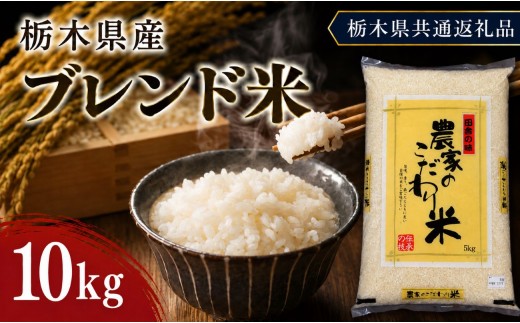栃木県産 お米 白米 ブレンド米 10kg | 栃木県 矢板市　栃木県共通返礼品 栃木県産