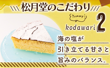 チーズケーキ 海の塩 チーズケーキ 1ホール