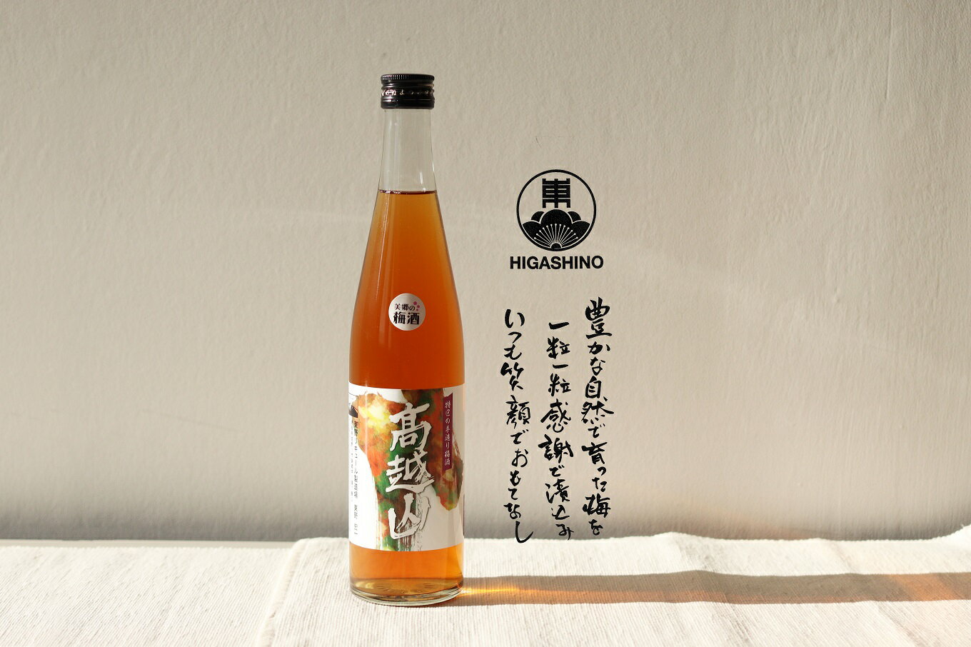 【ふるさと納税】 梅酒 高越山 500ml 1本 鶯宿梅 梅 うめ 果物 フルーツ 梅酒 うめしゅ 酒 果実酒 さけ ビール ハイボール チューハイ 日本酒 ウイスキー ワイン ギフト 贈答 プレゼント お取り寄せ グルメ 送料無料 徳島県 吉野川市