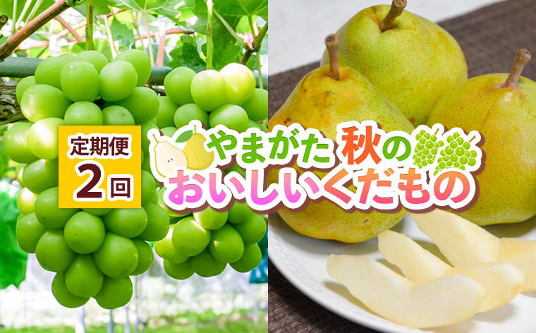 
            【定期便2回】 やまがた 秋のおいしいくだもの FY25-015
          