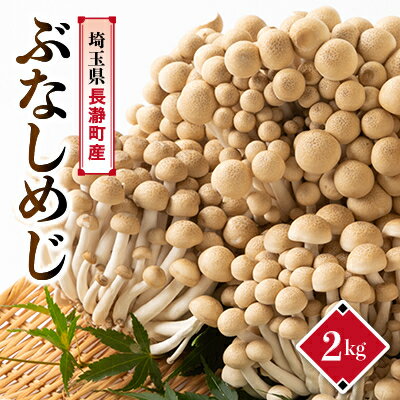 【ふるさと納税】ぶなしめじ　2kg【配送不可地域：離島・北海道・沖縄県・中国・四国・九州】【1296449】