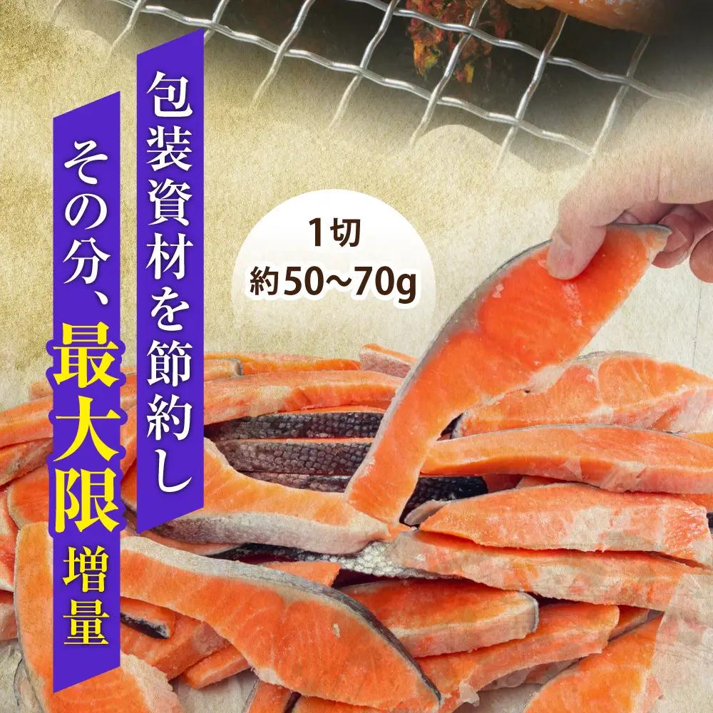 訳あり 鮭 紅鮭 3kg 切り身 [ 宮城県 塩竈市 ] 鮭 さけ