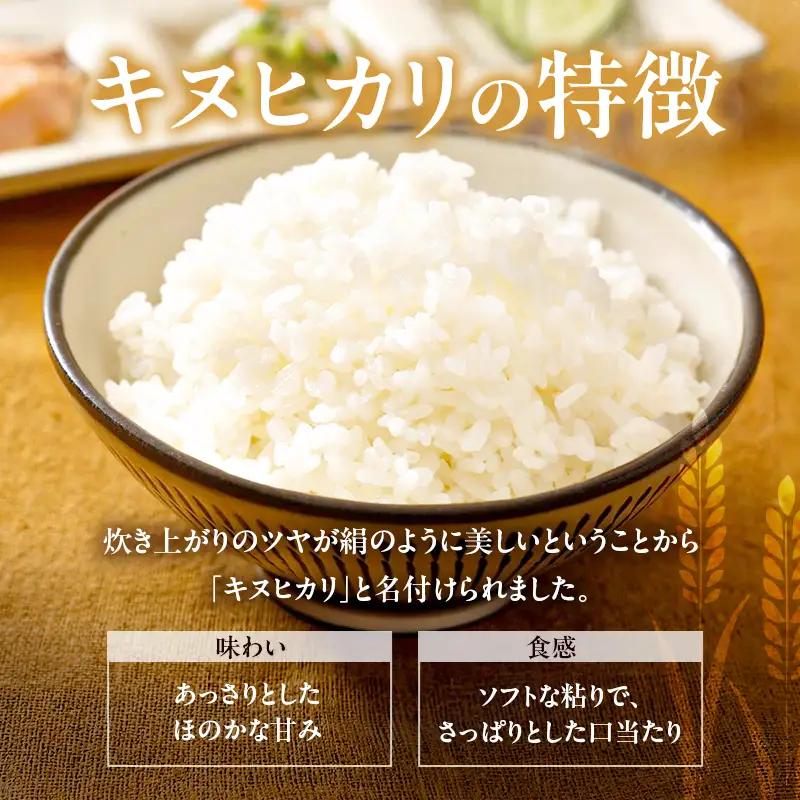 米 令和7年産 有機 ・ 減農薬栽培米 キヌヒカリ 白米 4kg（2kg×2） お米 精米 単一品種 単一原料米 国産 兵庫県産
