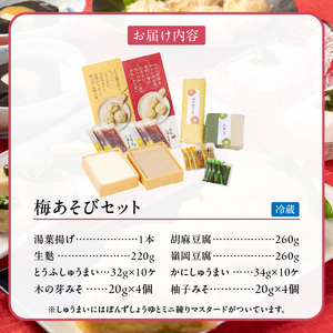 梅の花 梅あそびセット_梅の花通販本舗 梅あそび セット 大豆 惣菜 おかずセット かに とうふ しゅうまい 湯葉 生麩 嶺岡豆腐 木の芽みそ 柚子みそ 詰め合わせ 豆腐 加工品 おかず 福岡県 久留
