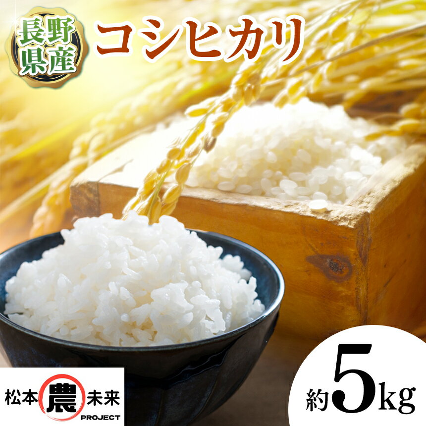 【ふるさと納税】【9月下旬発送】〔松本農未来project〕 信州松本産 こしひかり 5kg│信州 松本 米 お米 ご飯 こしひかり 5kg 長野県 松本市 松本市 ふるさと納税