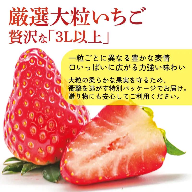 【2027年1月～発送予定】いちご 古都華 大粒 約270g×4パック drm004