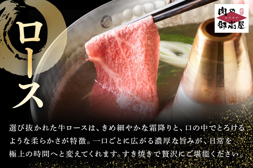 【定期便3回】飛騨牛食べ比べ定期便 カタロース・サーロインステーキ・ロース